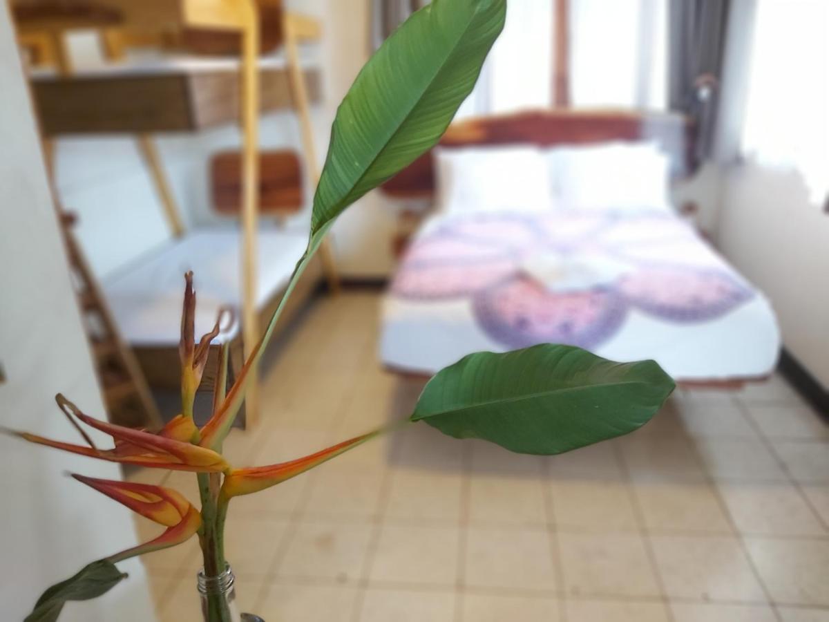 Casa Benjamin Linder Hotel Managua Bagian luar foto