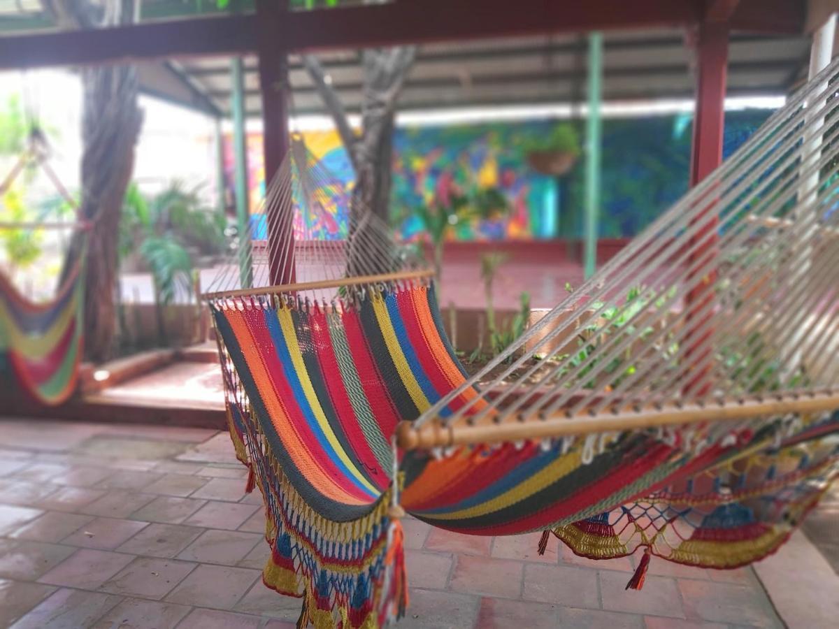 Casa Benjamin Linder Hotel Managua Bagian luar foto